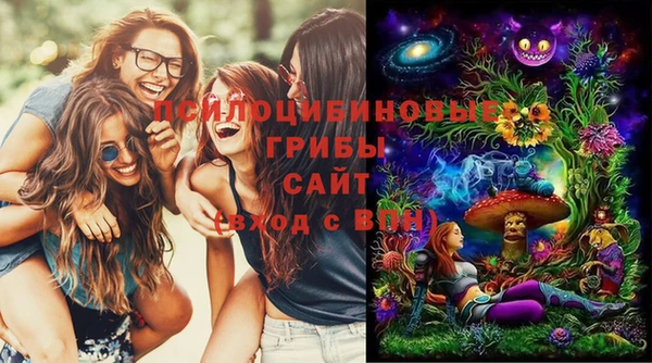 мяу мяу мука Медногорск